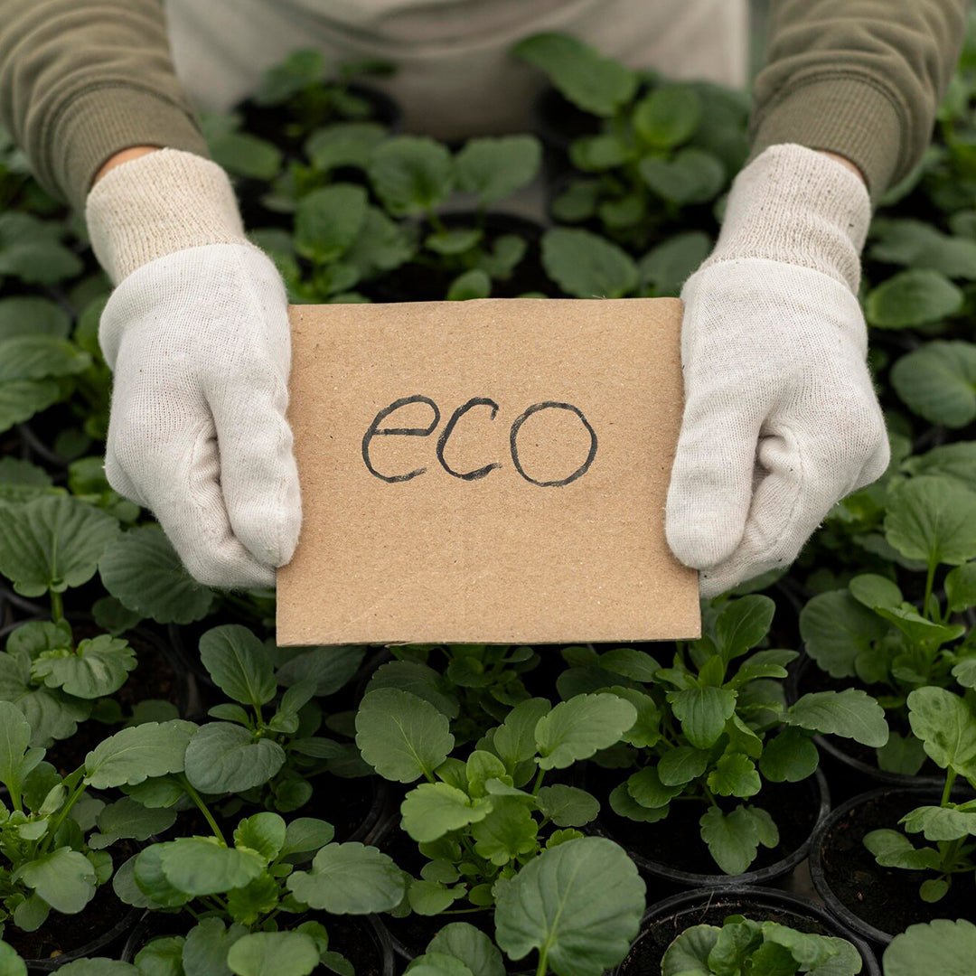 Eco-Friendly Greeting Cards: Sustainable Practices and Materials - VAUCLUSE