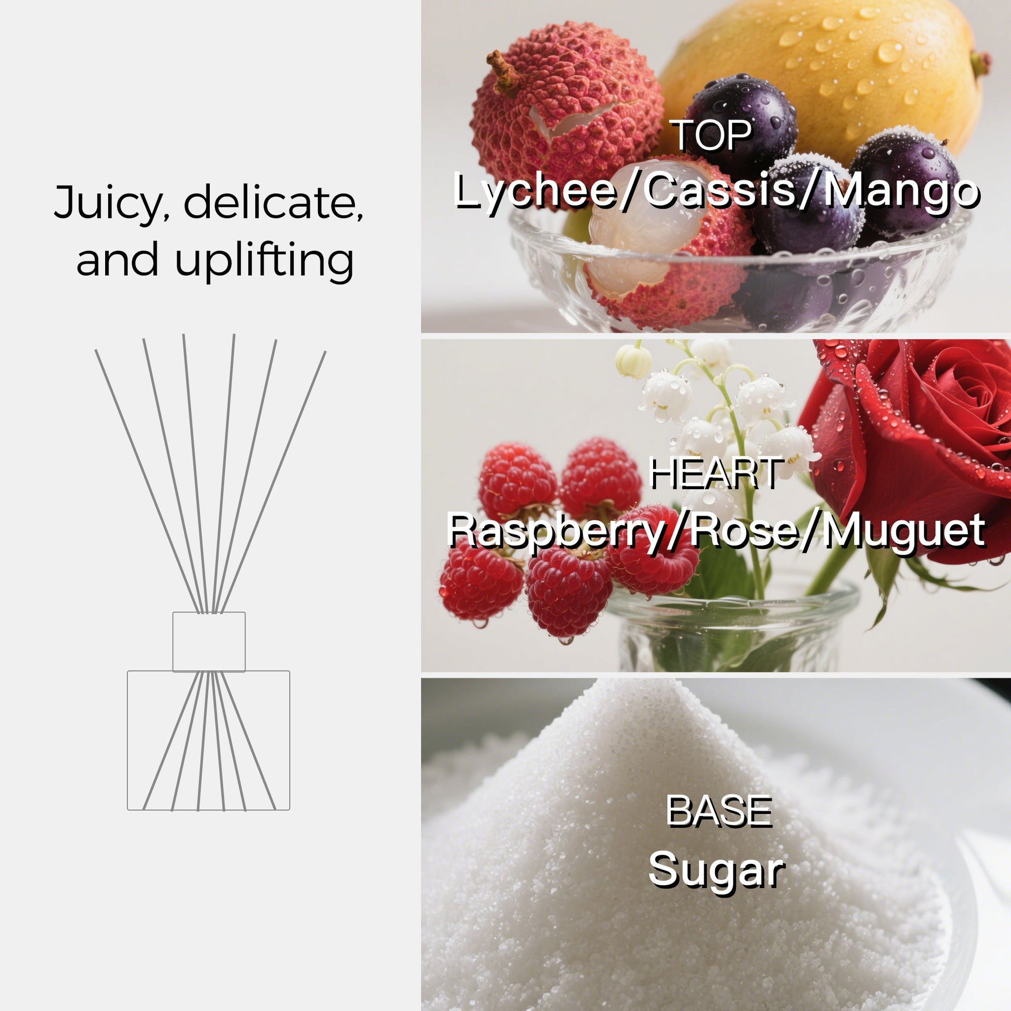 Lychee Scented Reed Diffuser - VAUCLUSE