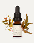 Amber Eucalyptus Essential Oil - 10ml - VAUCLUSE