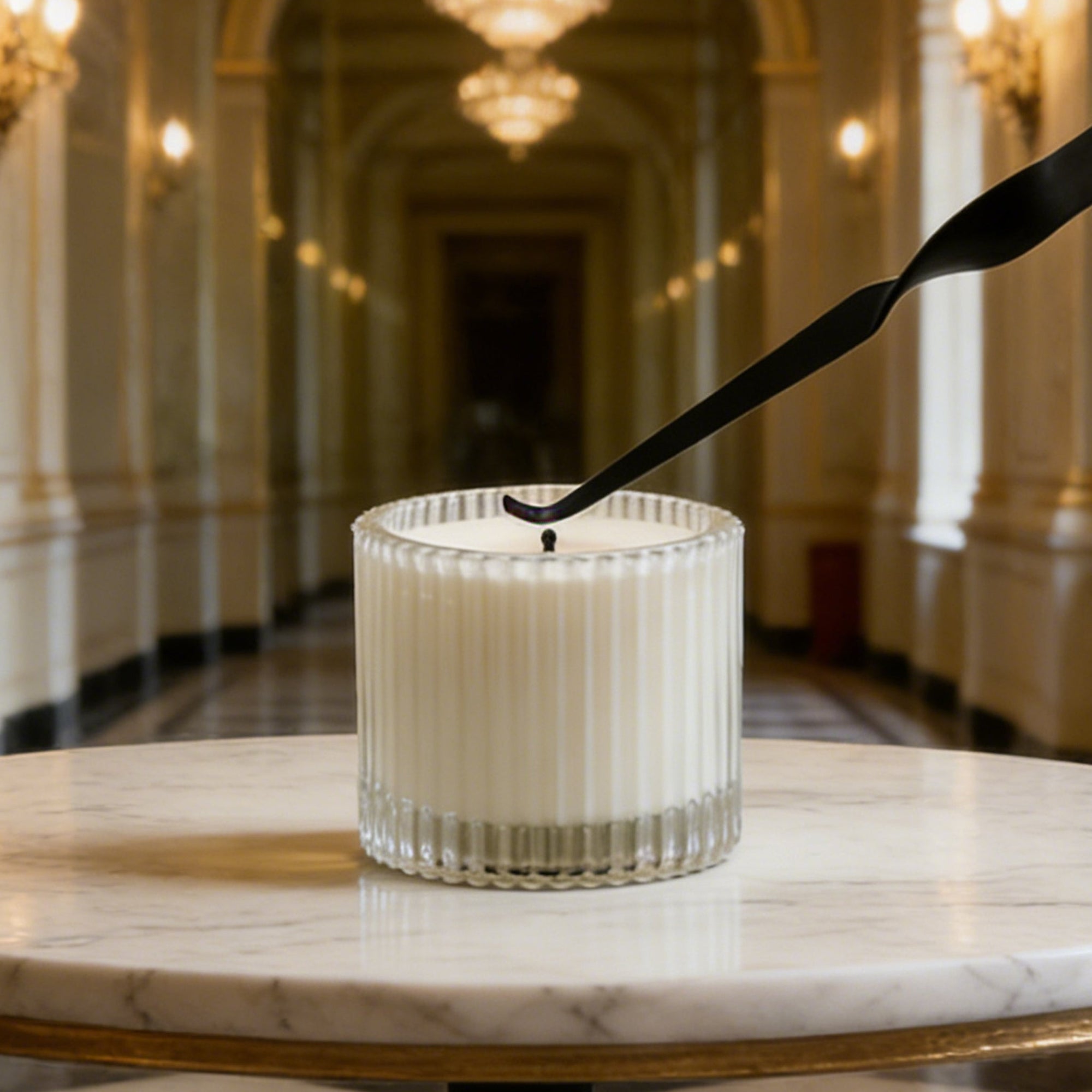 Candle Wick Trimmer, Snuffer and Dipper Set (Black) - VAUCLUSE