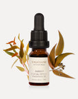 Amber Eucalyptus Essential Oil - 10ml - VAUCLUSE