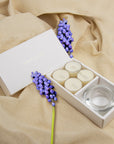 Musk Tealights and Candle Holder Set - VAUCLUSE